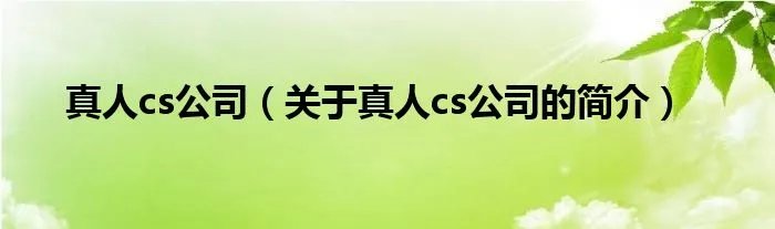 真人cs公司（关于真人cs公司的简介）
