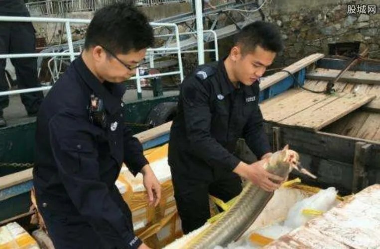 南宁破海鲜走私案 走私入境海产品案值约5000万元