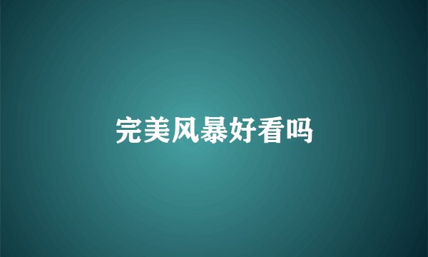 完美风暴好看吗