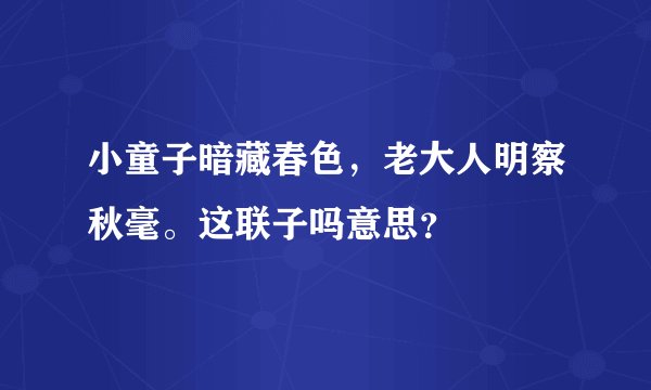 小童子暗藏春色，老大人明察秋毫。这联子吗意思？