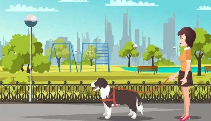 巧克力能喂给狗狗吃吗