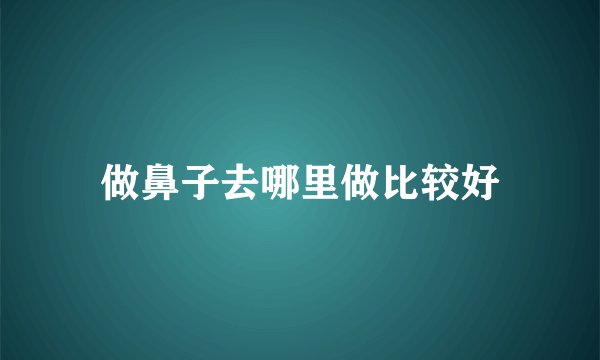 做鼻子去哪里做比较好