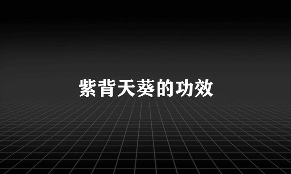 紫背天葵的功效