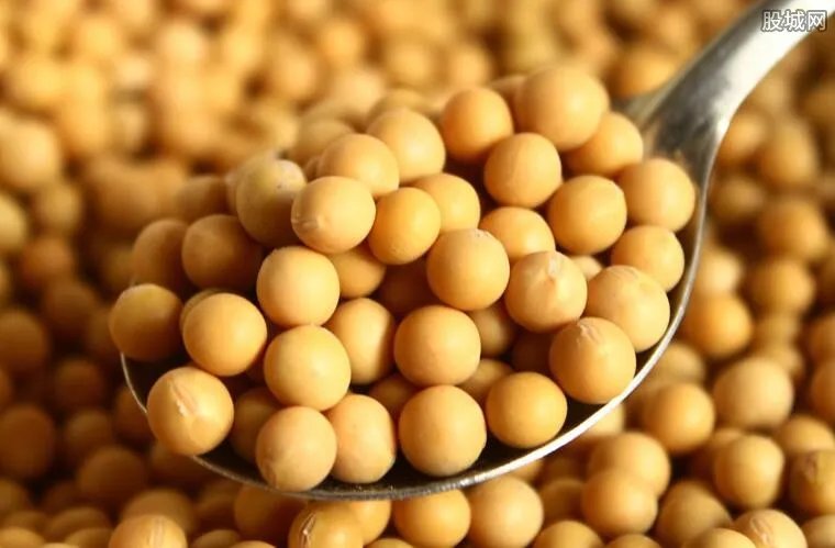 中美谈判最新新闻 美国大豆出口协会慌了