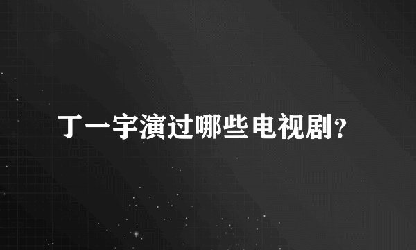 丁一宇演过哪些电视剧？