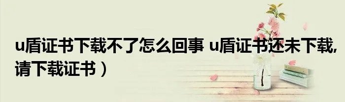 u盾证书下载不了怎么回事 u盾证书还未下载,请下载证书）