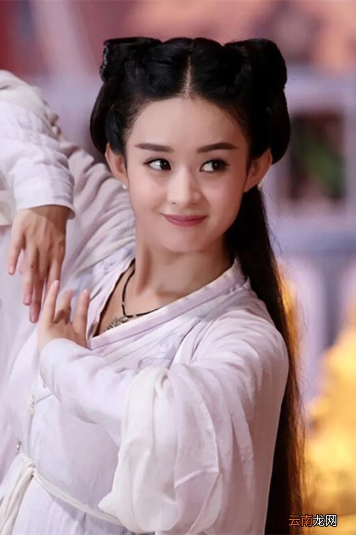 赵丽颖的职业经历,赵丽颖的人生