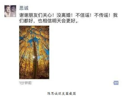 陈思诚否认离婚是真的吗？