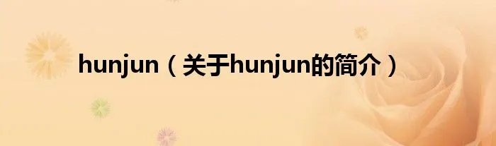 hunjun（关于hunjun的简介）