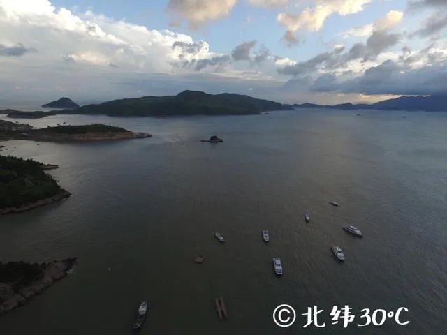 训练老鹰抓无人机有前途吗？