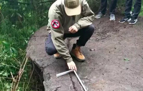 四川5岁小男孩发现的恐龙足迹是哪个时期的？