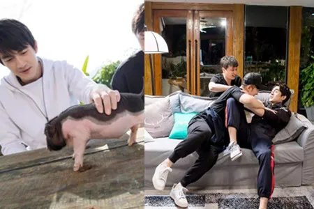 偶遇林更新吃烤肠 跟陈赫上演相爱相杀