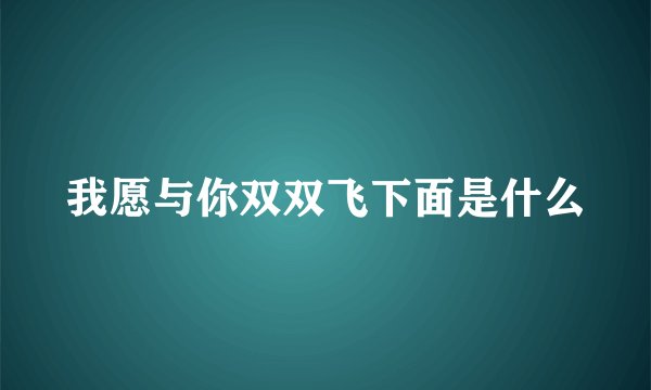 我愿与你双双飞下面是什么