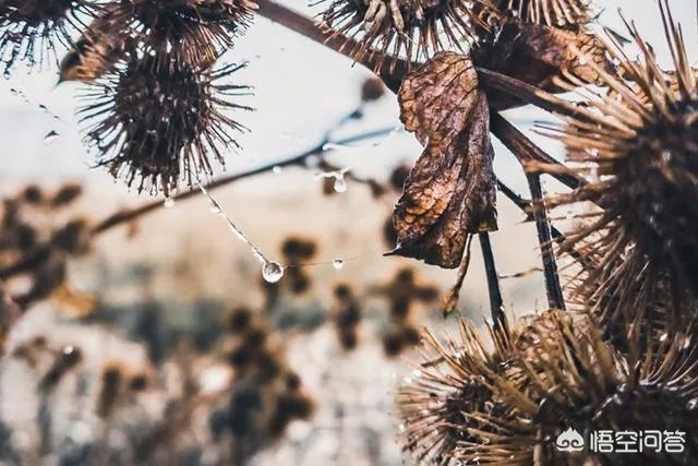 诺基亚9 PureView正式发布,你如何评价?