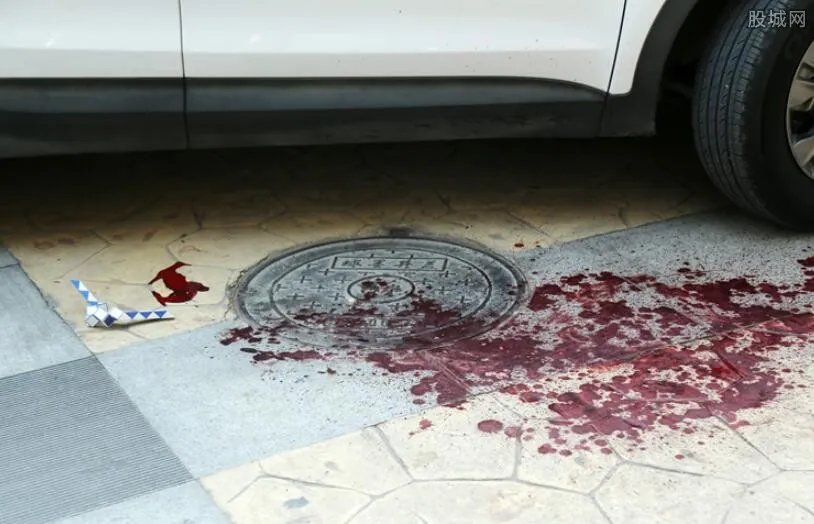 玩微信撞死路人 手机虽然好玩但是生命更重要