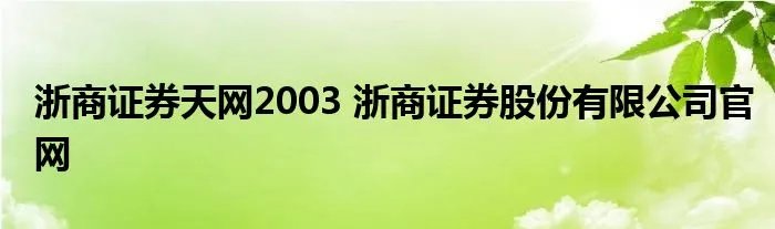 浙商证券天网2003 浙商证券股份有限公司官网