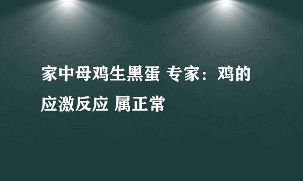 家中母鸡生黑蛋 专家:鸡的应激反应 属正常