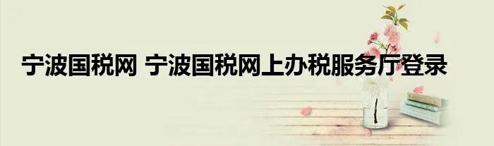 宁波国税网 宁波国税网上办税服务厅登录