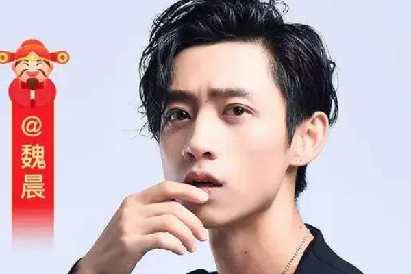 魏晨对俞灏明承诺给自己买房，有哪些回应呢？