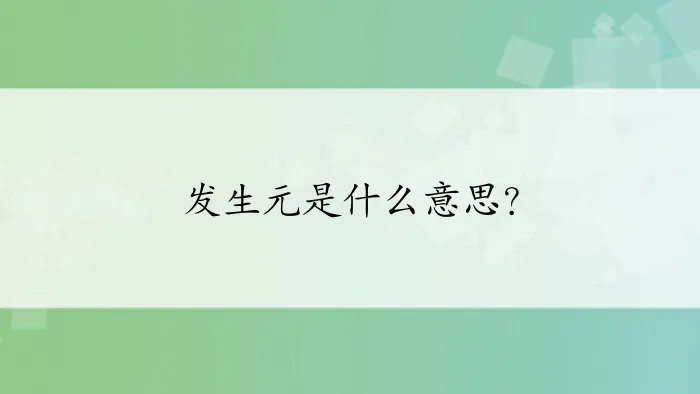 发生元是什么意思？