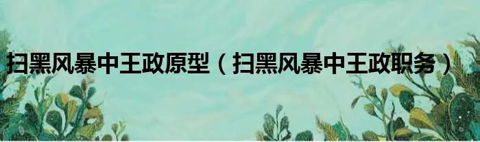 扫黑风暴中王政原型（扫黑风暴中王政职务）