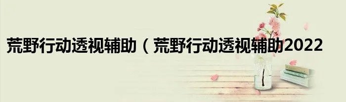 荒野行动透视辅助(荒野行动透视辅助2022