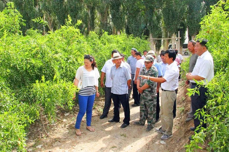 铁干里克乡的介绍