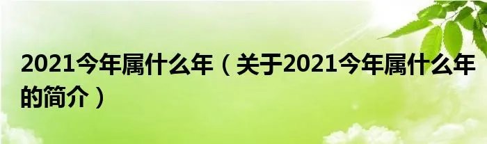 2021今年属什么年（关于2021今年属什么年的简介）