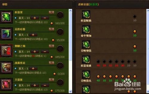 斗战神果子狸加点