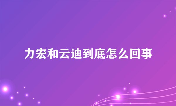 力宏和云迪到底怎么回事
