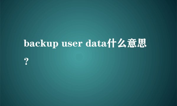 backup user data什么意思？