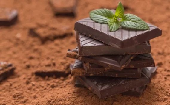 巧克力能喂给狗狗吃吗  巧克力给狗吃了会怎样