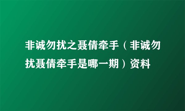 非诚勿扰之聂倩牵手（非诚勿扰聂倩牵手是哪一期）资料