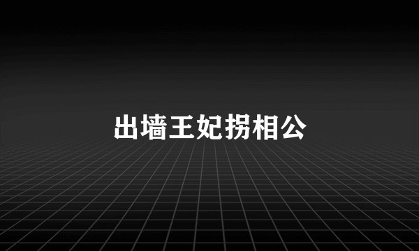出墙王妃拐相公