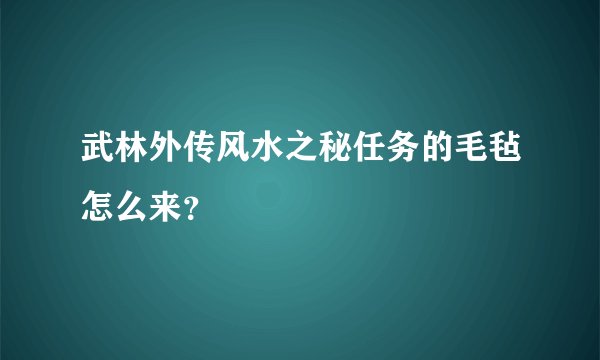武林外传风水之秘任务的毛毡怎么来？