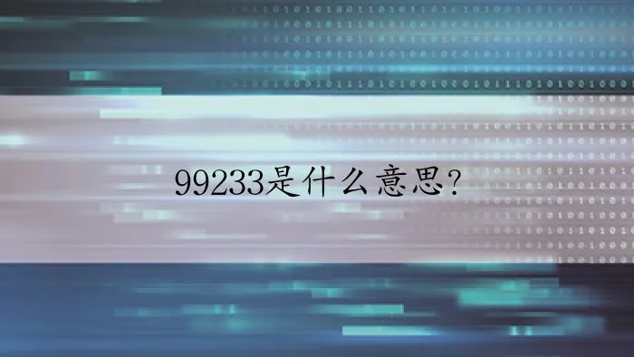 99233是什么意思？