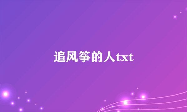 追风筝的人txt