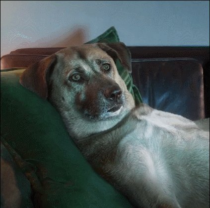 在腿上也能写毛笔字?来日方长的午间动态图