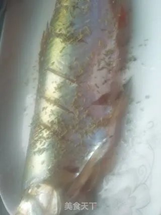 清蒸红腮鱼