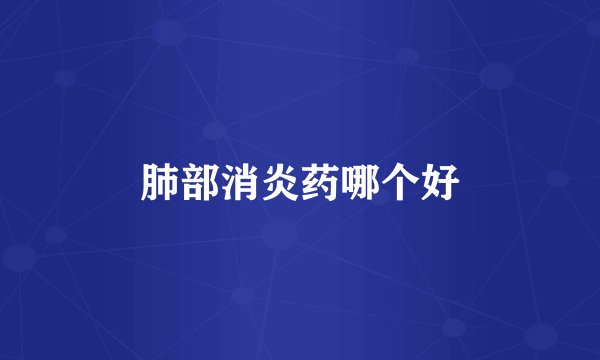 肺部消炎药哪个好