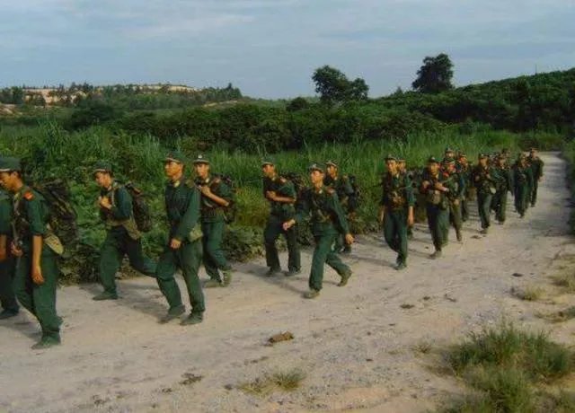 当兵退伍后能干吗？