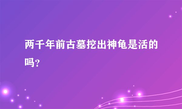 两千年前古墓挖出神龟是活的吗?