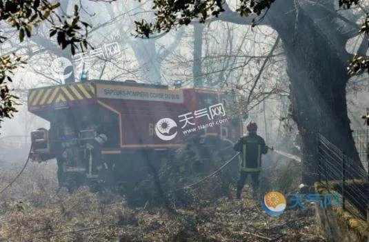 科西嘉岛森林火灾最新消息 发现20起火灾疑因变压器老化