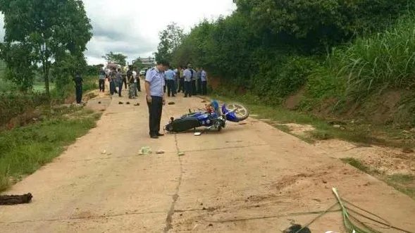 云南野象伤人事件造成多大损失？