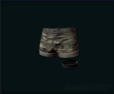 《绝地求生大逃杀》服装推荐及价格分析 绝地求生大逃杀裙子推荐