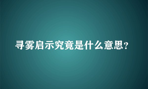 寻雾启示究竟是什么意思？