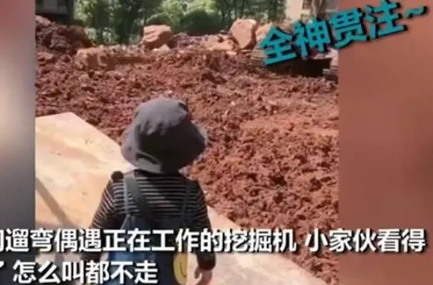 萌娃自带小板凳监工挖掘机 小孩为什么喜欢挖掘机