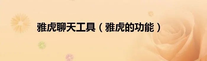 雅虎聊天工具（雅虎的功能）