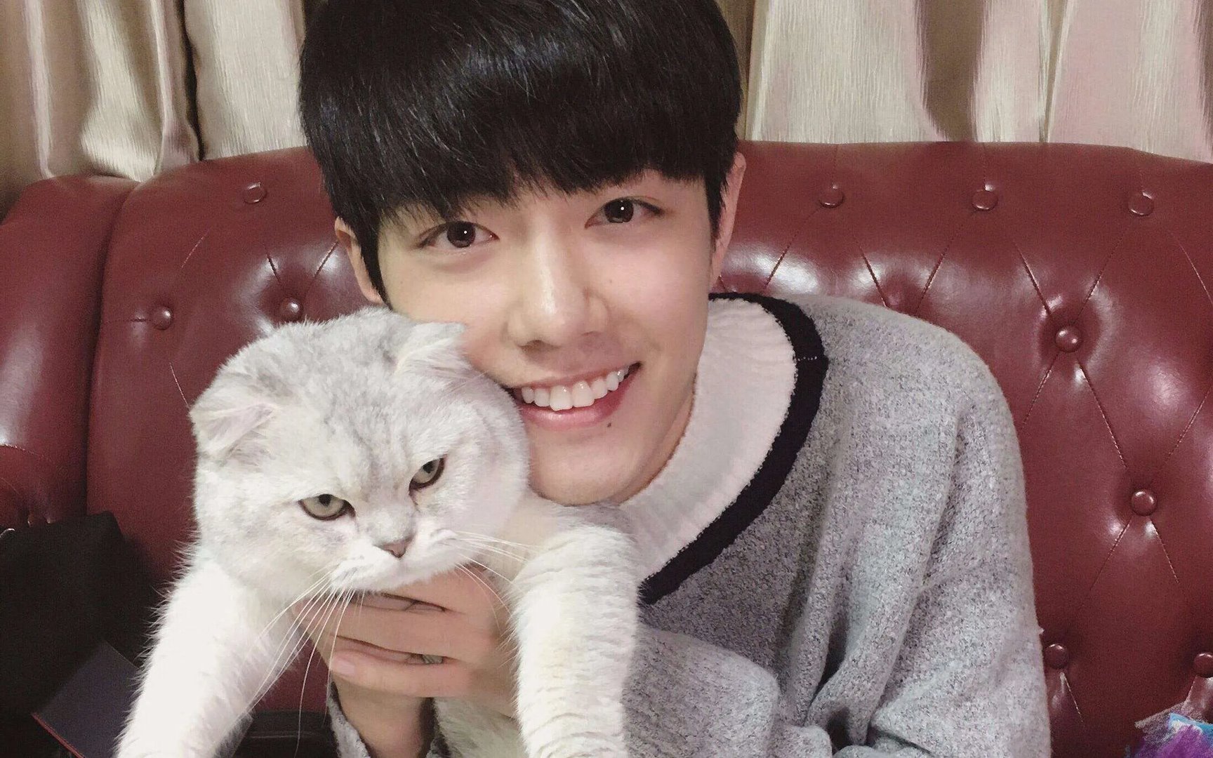 肖战后援会道歉整改,后援会道歉了,你觉得肖战需要道歉吗?