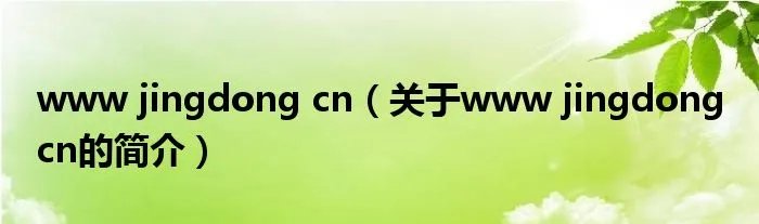 www jingdong cn（关于www jingdong cn的简介）